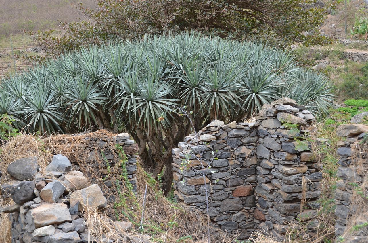 לינה וארוחת בוקר Tarrafal  Casa Patio מראה חיצוני תמונה